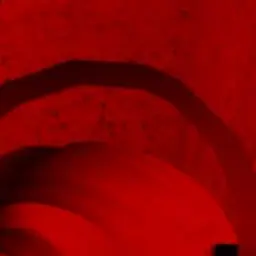 SkY0419의 유기사