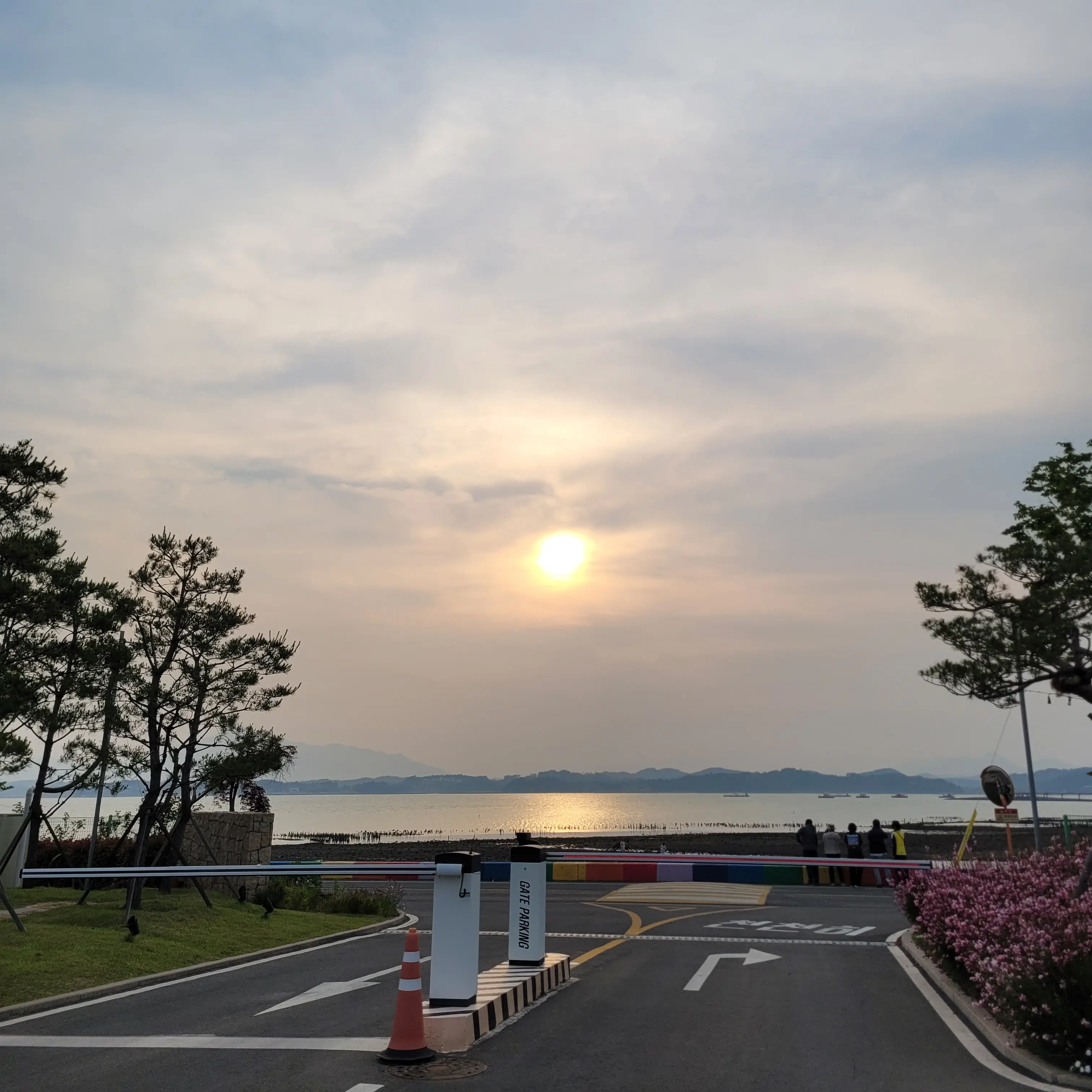 VioletArrow8756의 .