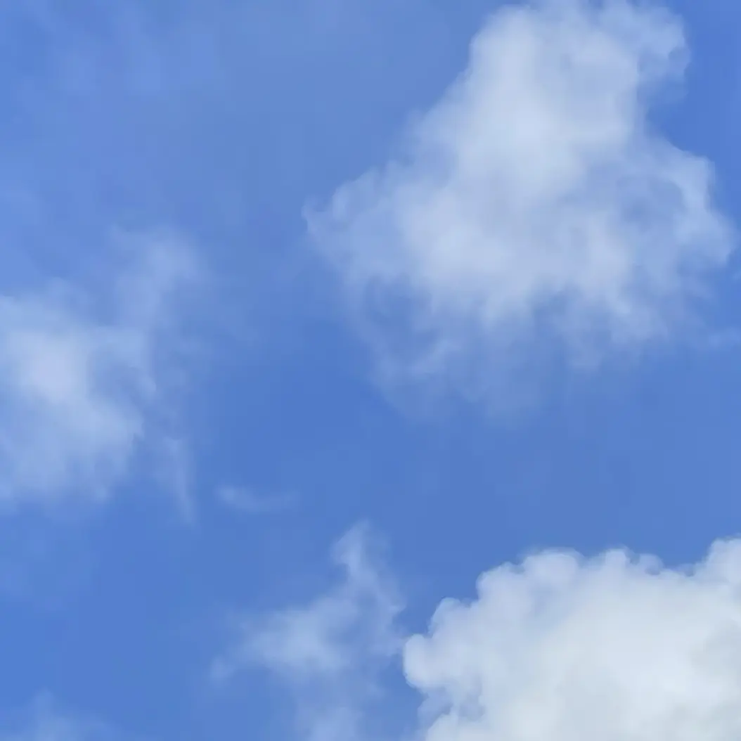 PurelyCloud4583의 최신우