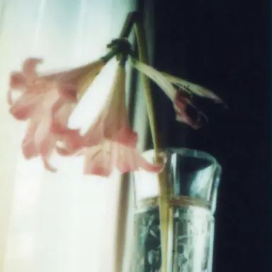 Profile image of 한 은
