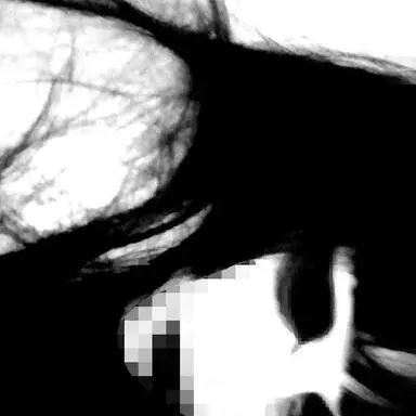 Profile image of Rui