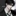 유채훈