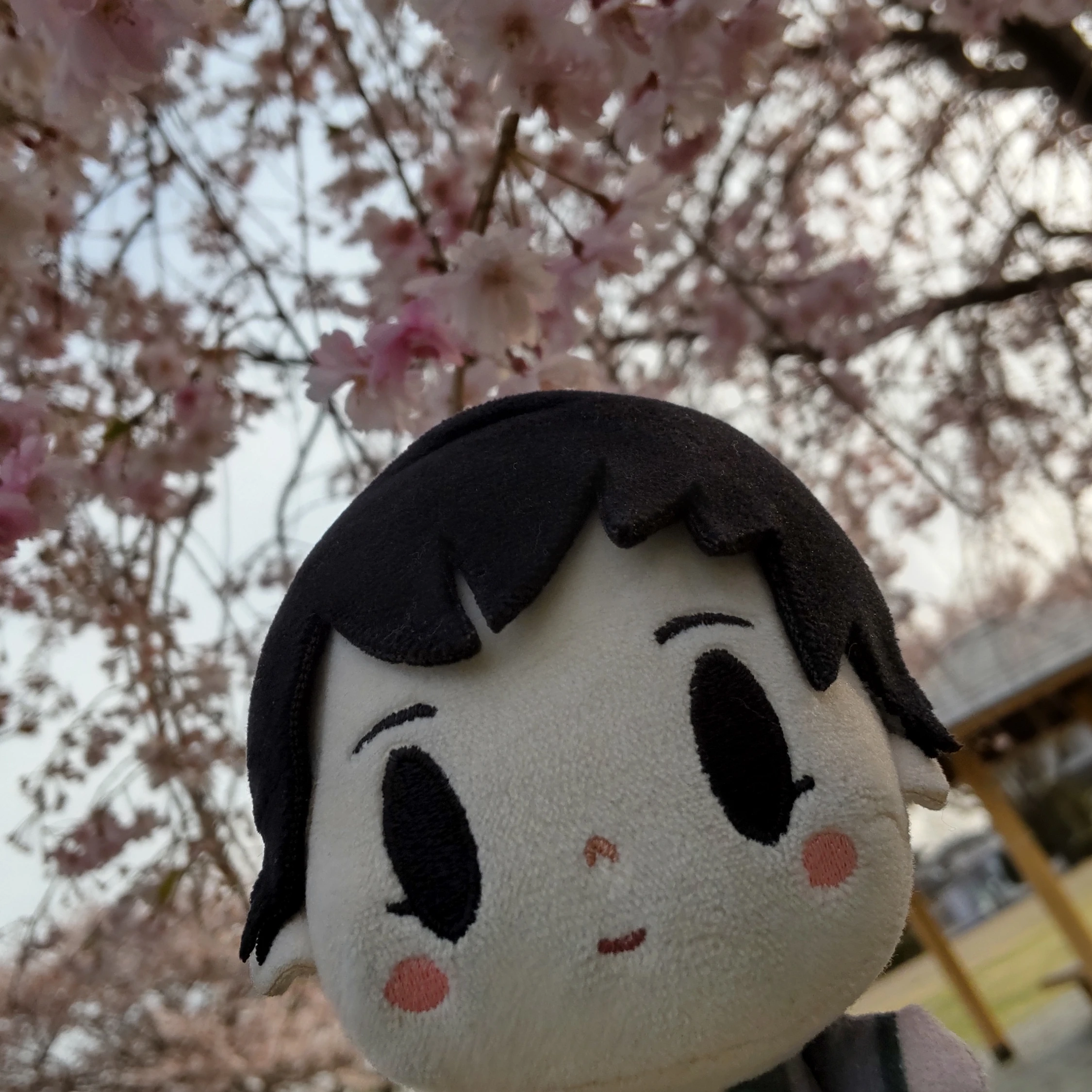 松永新之丞