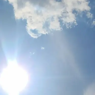 Profile image of 김은석