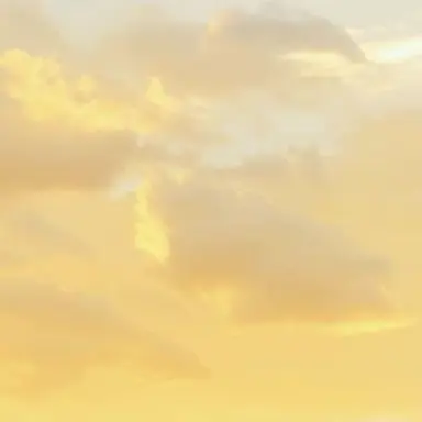 Profile image of じんと