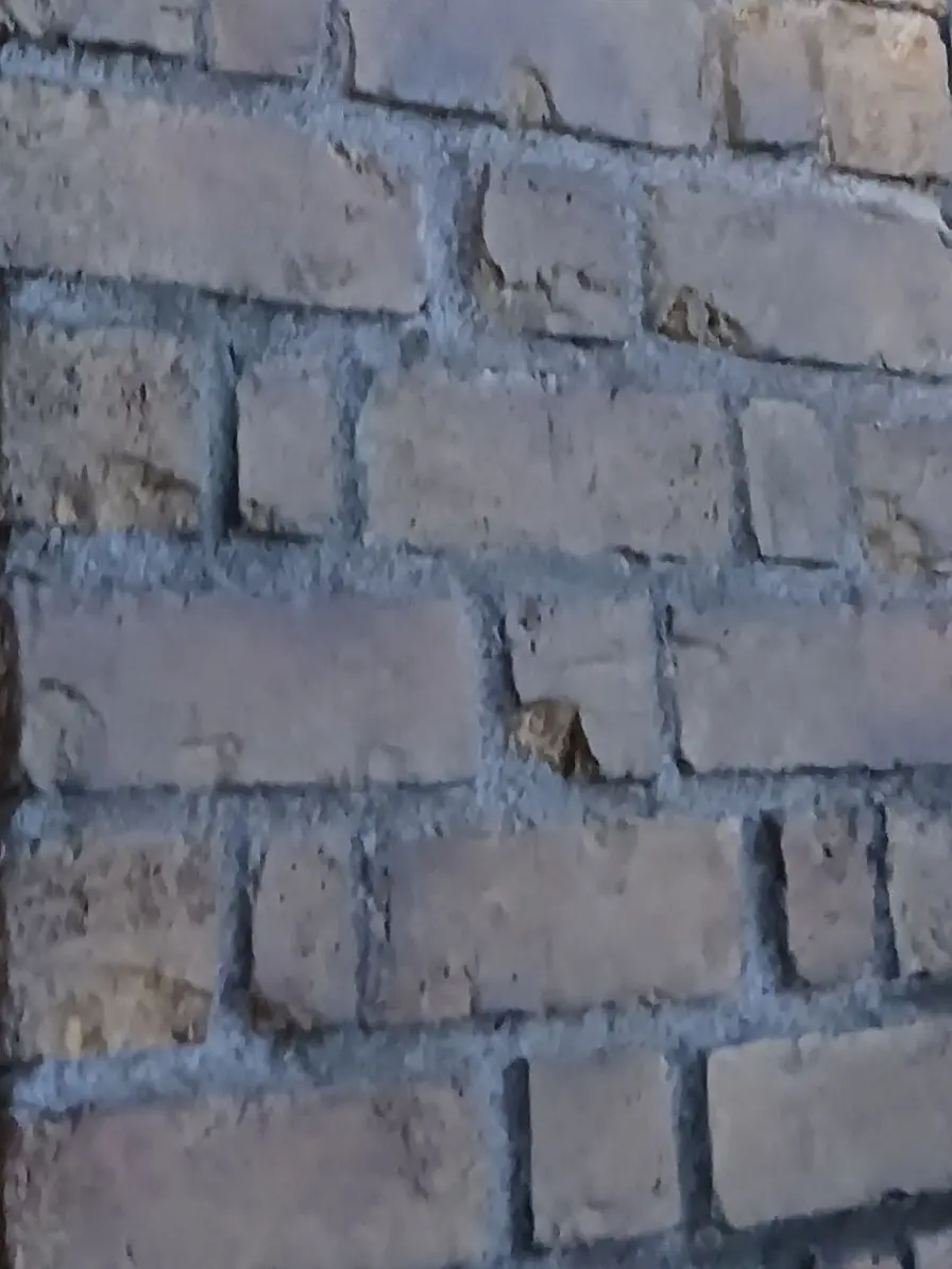 RaggedLeaf1700의 自分用ですがお好きにどうぞ