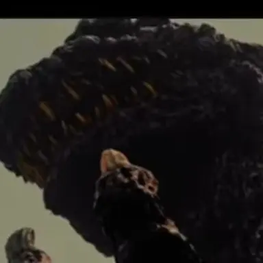 Profile image of 신고지