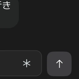 自分用