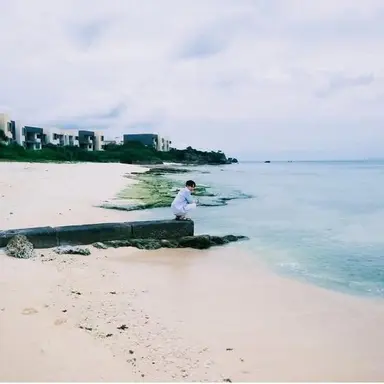 Profile image of 渡辺翔太