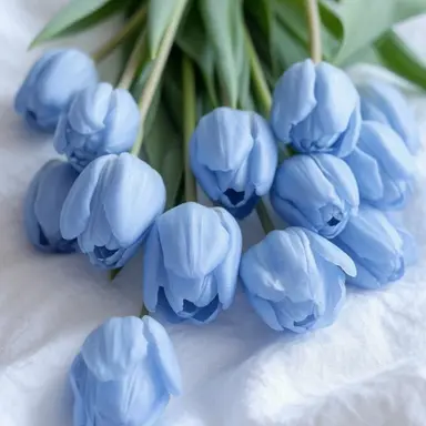 Profile image of 박슬기