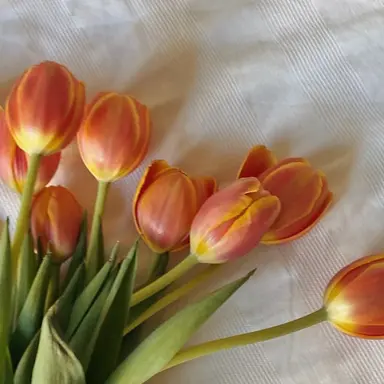 Profile image of 박영환