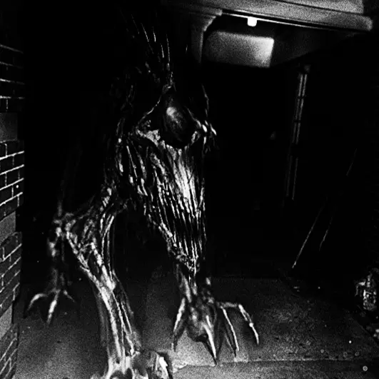 01040의 SCP-939