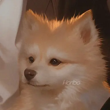 Profile image of 콩쥐