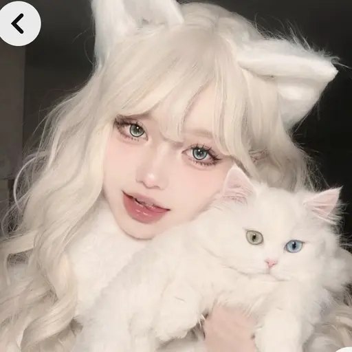 SunnyOptic7111의 박서히