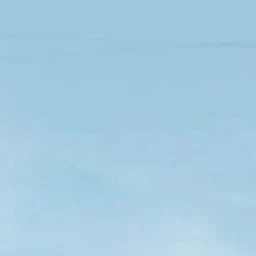 りん