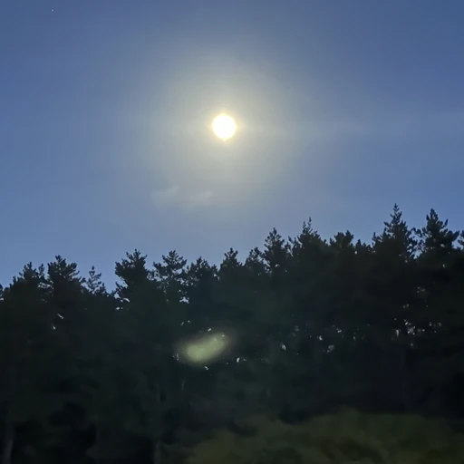 강희원