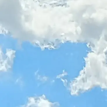 Profile image of 이지연