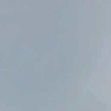 Profile image of 서미래