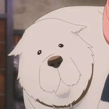 Profile image of 본드