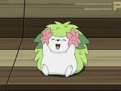 Profile image of 마오