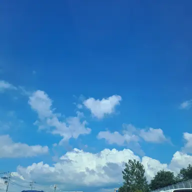 Profile image of 도연우