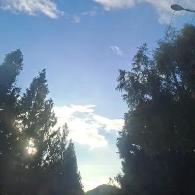 Profile image of 도하영