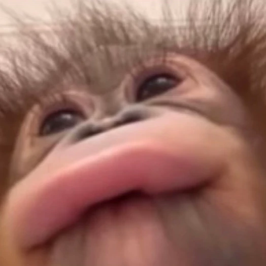 여우연