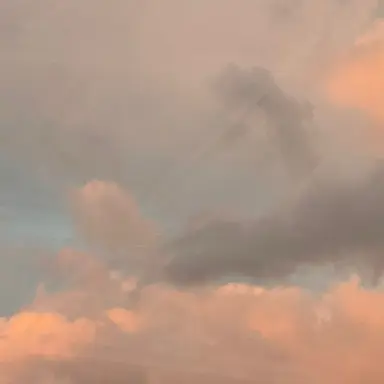 Profile image of Hana