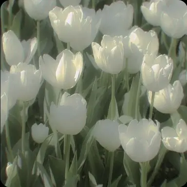Profile image of 준브레드