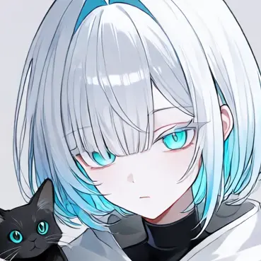 Profile image of ノエル