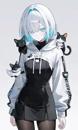 Profile image of ノエル