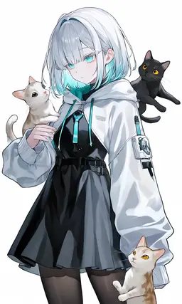 Profile image of ノエル
