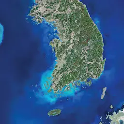 hell240828의 비상계엄령이후의 대한민국