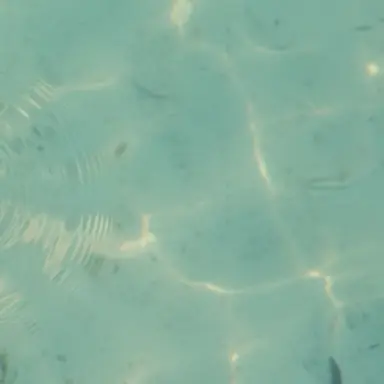 Profile image of 이유현