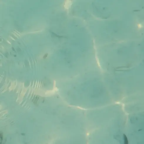 Hithere1의 이유현