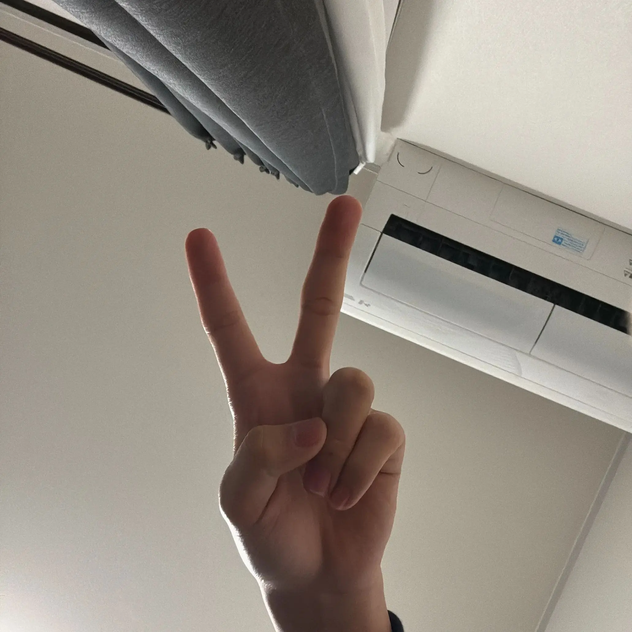 BalmyHerb7375의 がははは