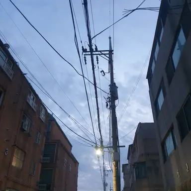 Profile image of 벨키