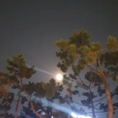 Profile image of 준브레드