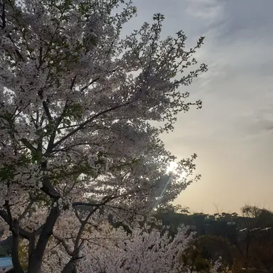 Profile image of 밥풀
