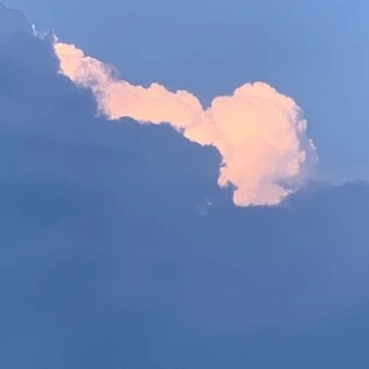 공룡
