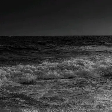 Profile image of 육성지