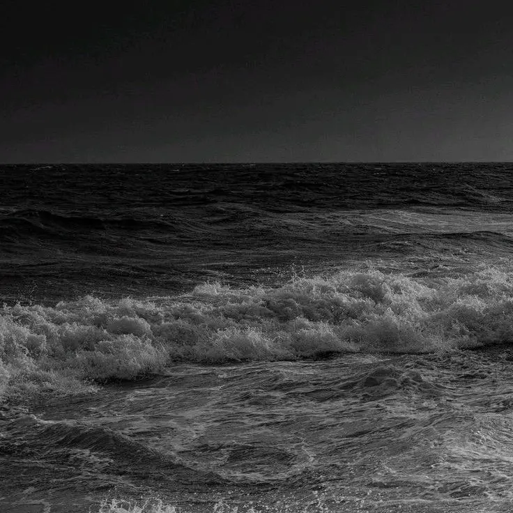 CurvyPatio4524의 淸風明月