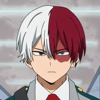 Profile image of Shoto Todoroki