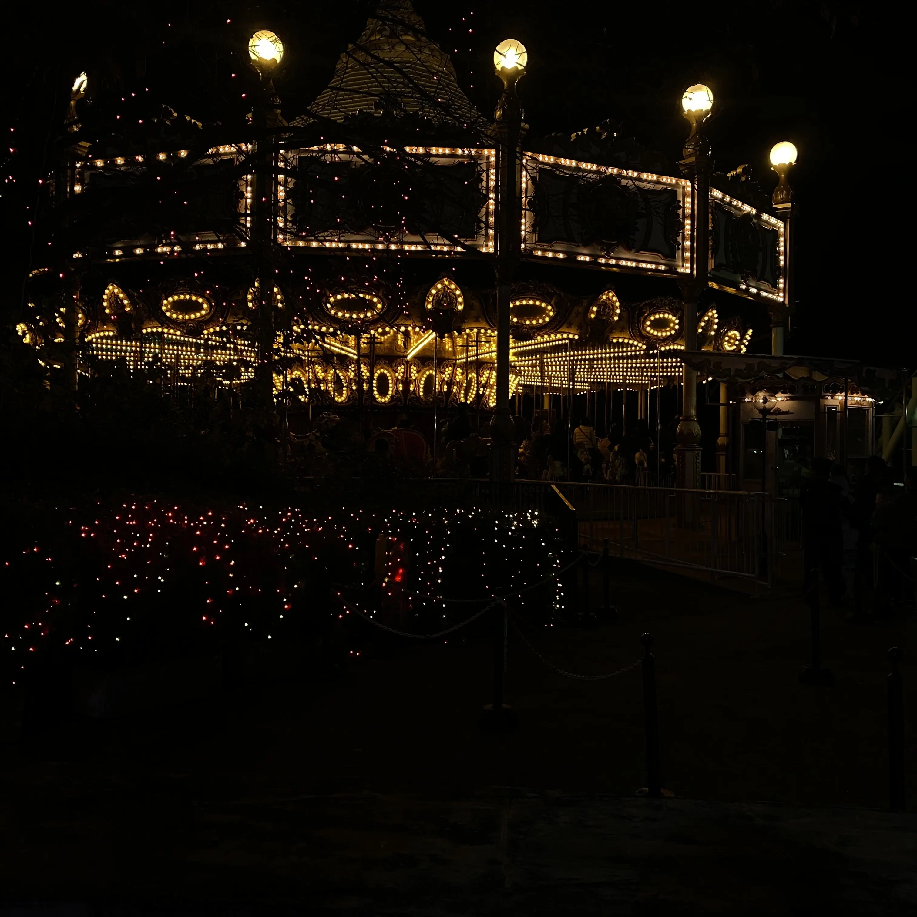 PlacidCake8062의 大森さんの…？