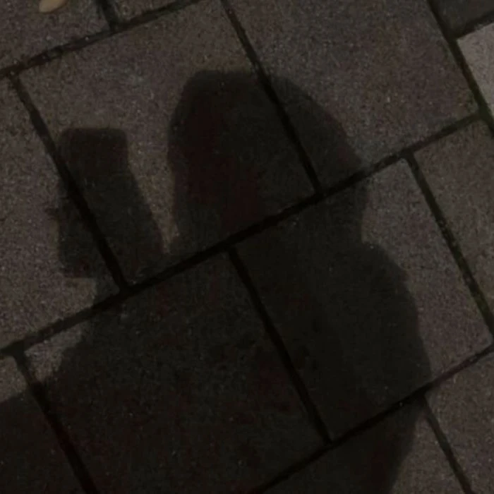호시나 소우시로