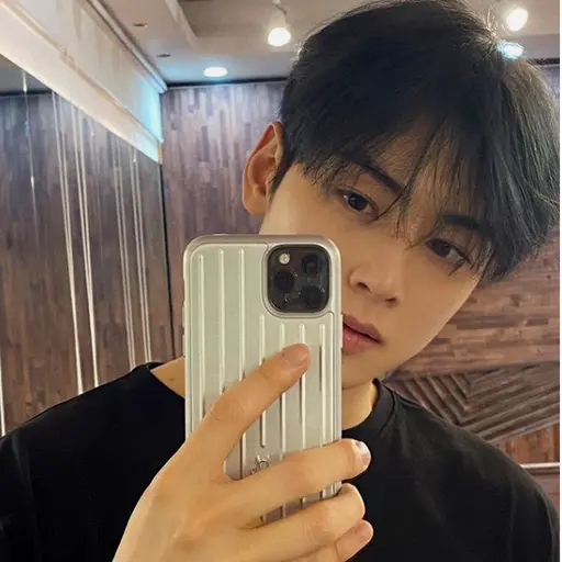ILOVEBTOB0321의 차은우
