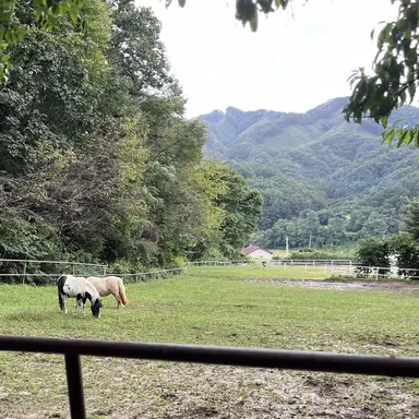 Profile image of 하람