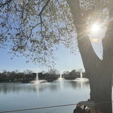 Profile image of 현조