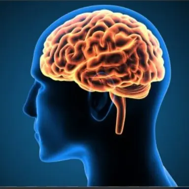 Profile image of 뇌