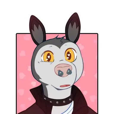 Profile image of Zeb